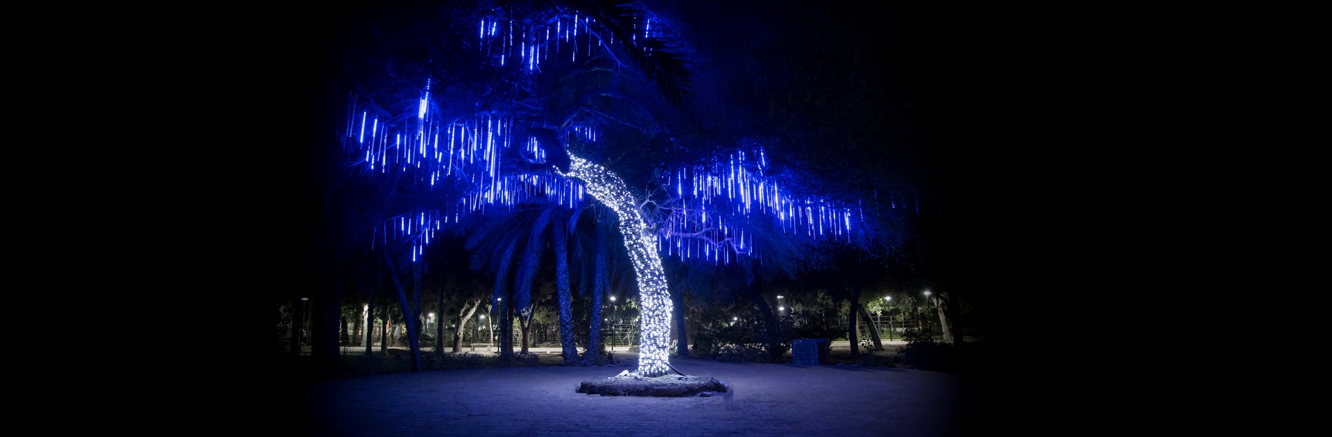 تک درخت پارک شهید دباغیان